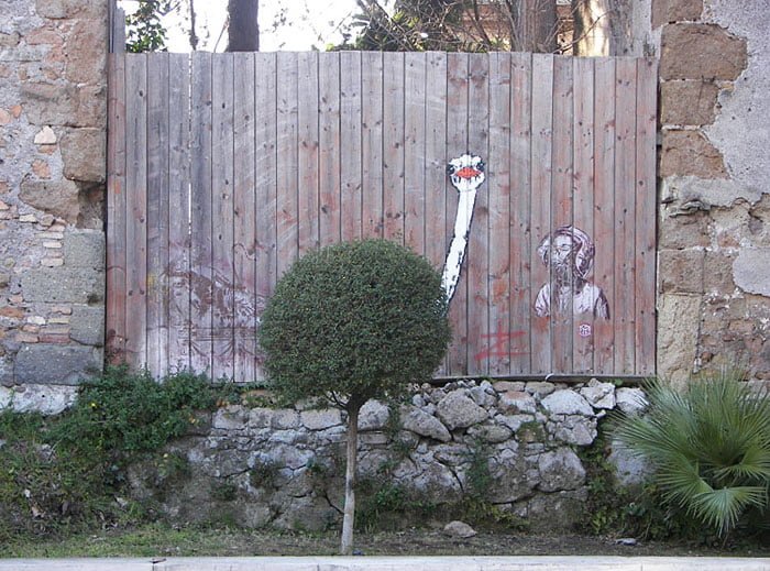 street art graffiti interacts with nature