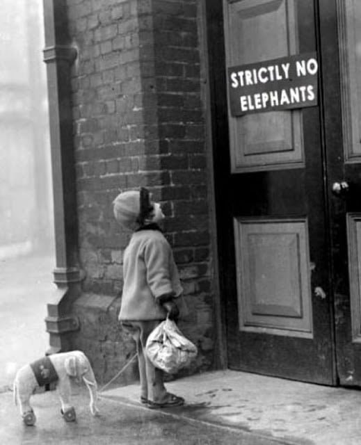 old black and white photo of child and toy elephant