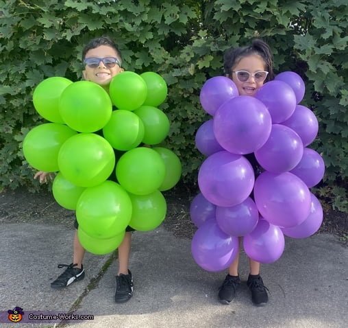 funny kids Halloween twins costume grapes