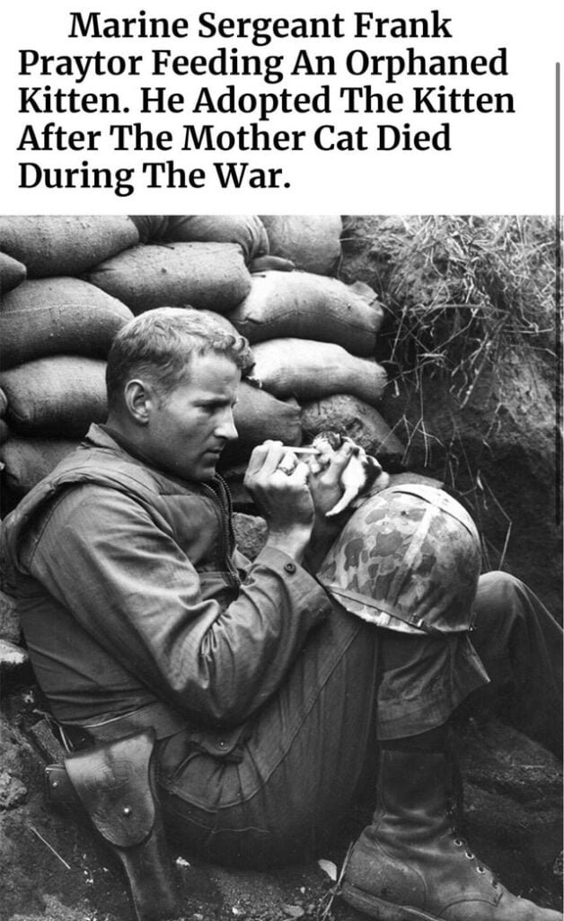 acts of kindness black and white photo of soldier feeding kitten by hand