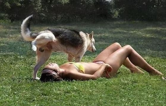 Worse Day Than Yours dog pees on lady sunbathing