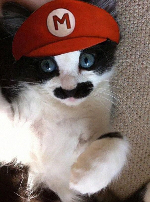 funny Halloween costume ideas for cats mario