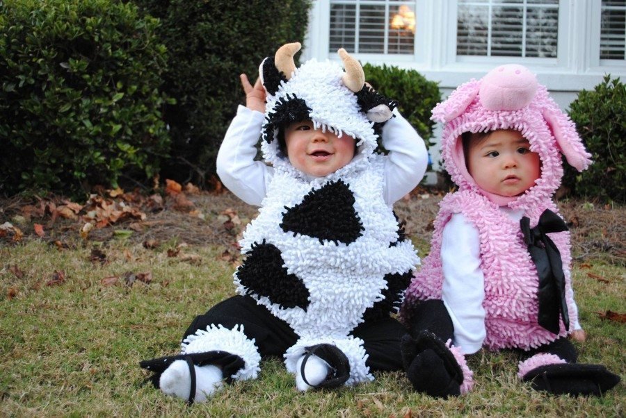 funny kids Halloween twins costume cow and pig