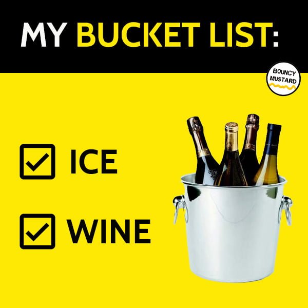 hilarious random meme my bucket list ice wine