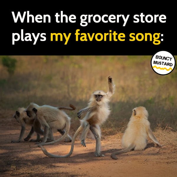 hilarious random meme When the grocery store plays my favorite song: