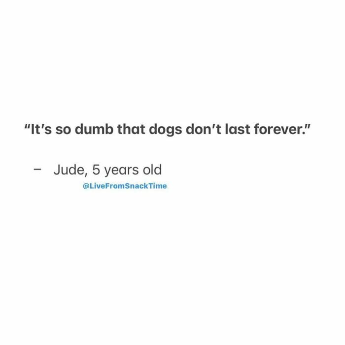 funny things kids say: It's so dumb that dogs don't last forever.
