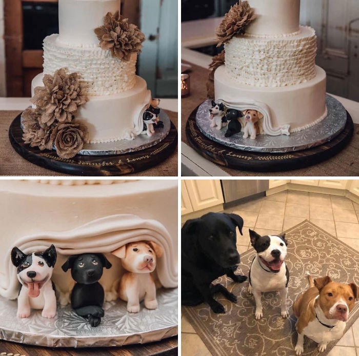 25 Funny Wedding Cake Ideas For Newlyweds Who Want Something Original -  Bouncy Mustard