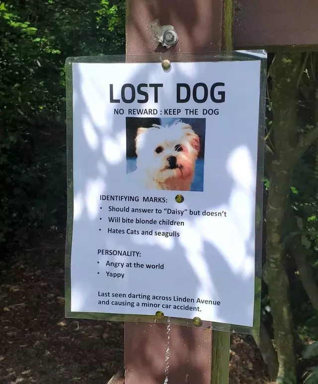 funny sign hilarious poster missing dog