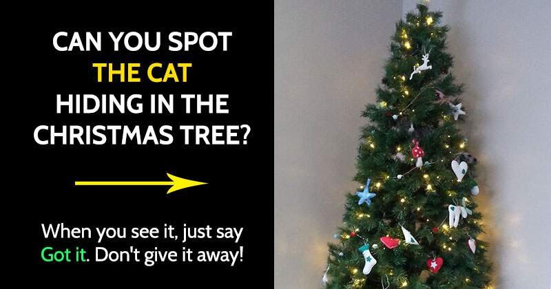 share hidden cat christmas tree 2
