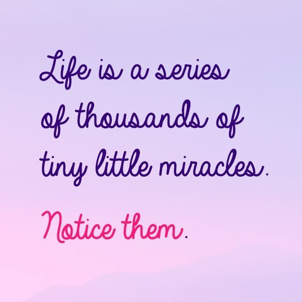 Gratitude quote Life is a series of thousands of tiny little miracles. Notice them.