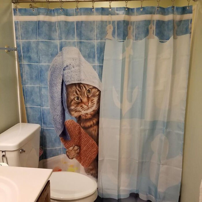 Funny Personalized Picture Shower Curtain Idea