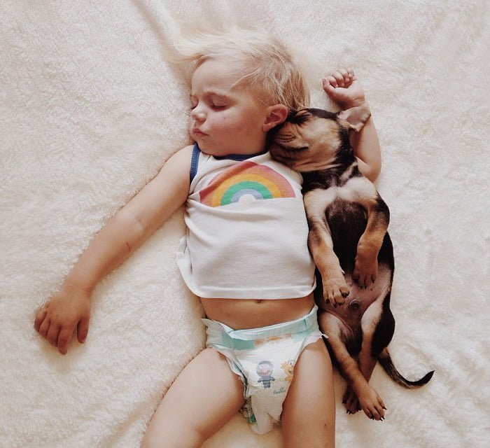 adorable child and dog love
