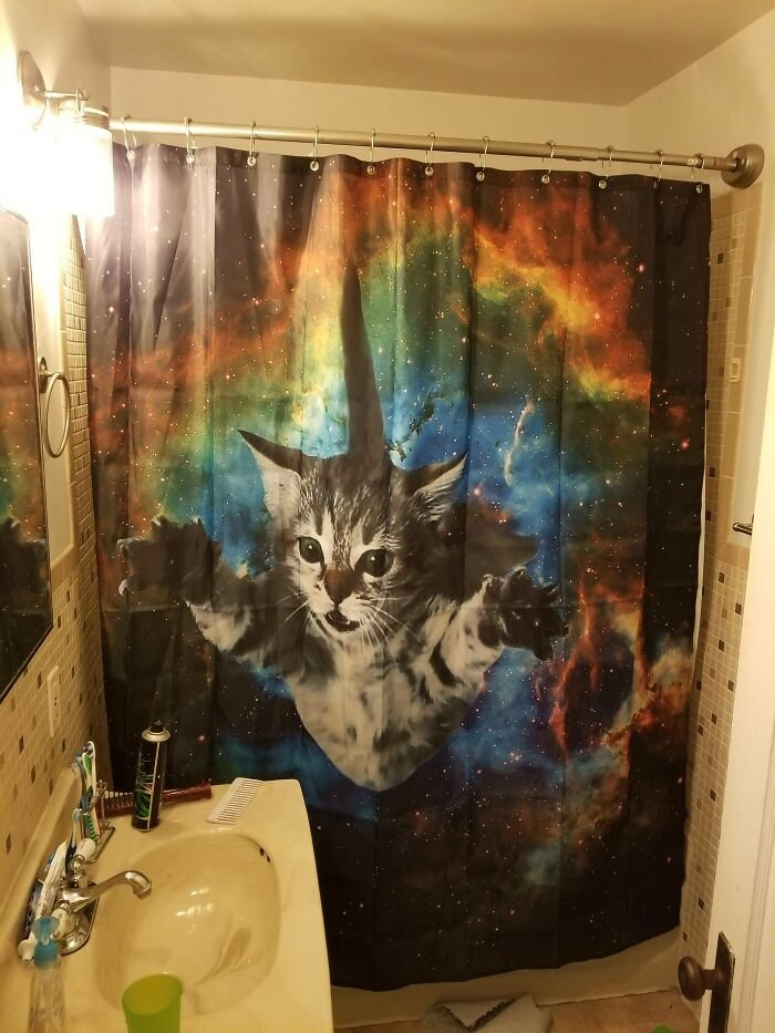 Funny Personalized Picture Shower Curtain Idea