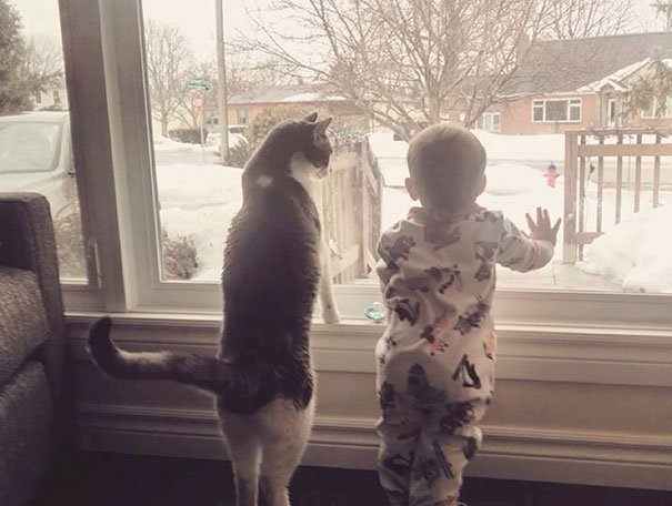 funny toddler and cat best friends