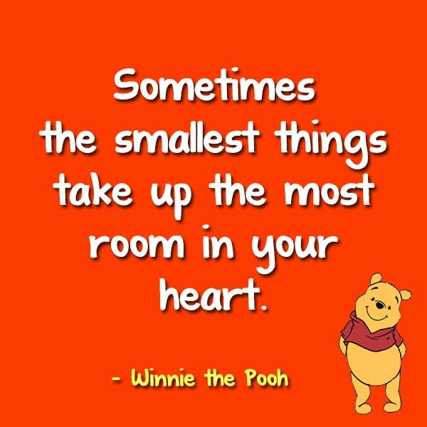 “Sometimes the smallest things take up the most room in your heart.” - Winnie the Pooh
