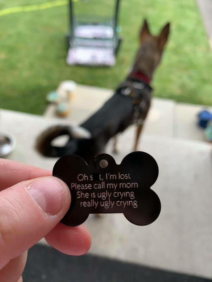 funny collar tag idea that says please call my mom she is ugly crying really ugly crying