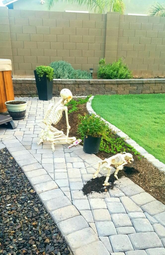 funny Halloween outdoor skeleton poses ideas